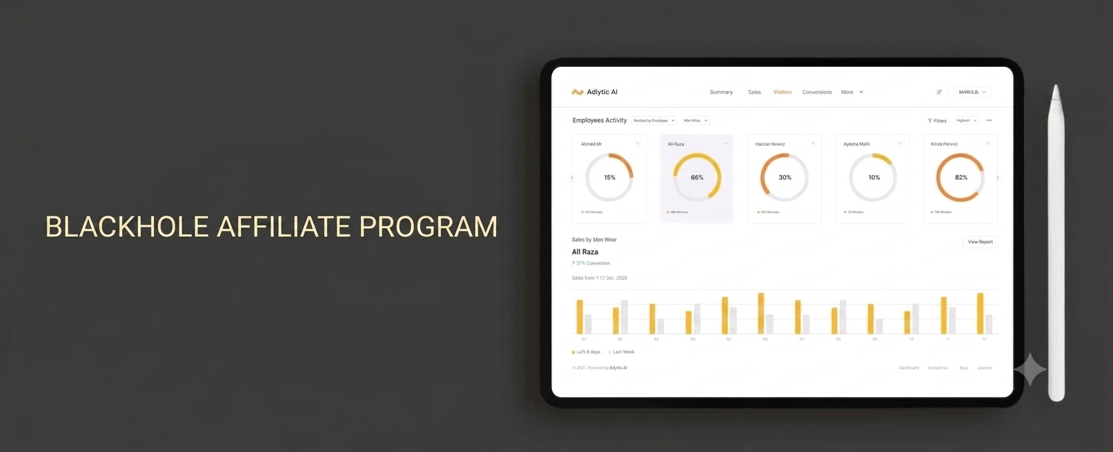 BLACKHOLE AFFILIATE PROGRAM
